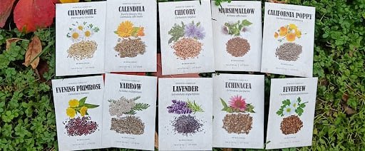  Medicinal Garden Kit 
