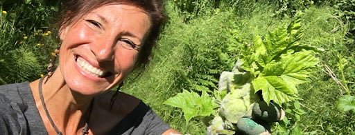  Medicinal Garden Kit 