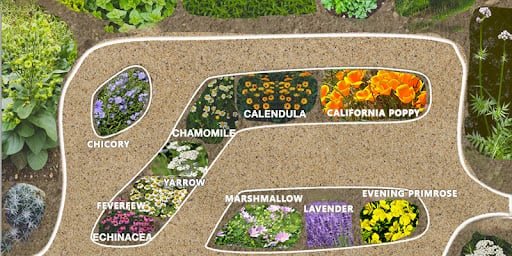  Medicinal Garden Kit 